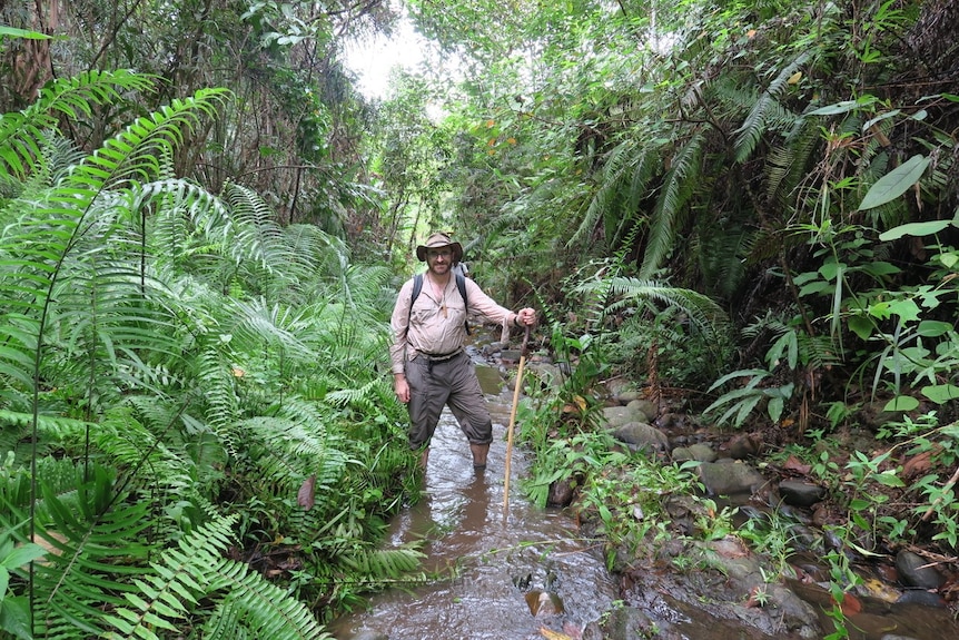 A man in shorts and hat and holding a hiking stick stands in a creek surrounded by jungle