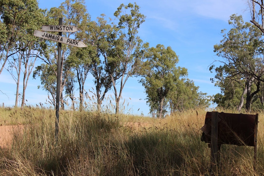 An old signpost and drum letterbox stand at the corner of a dirt road.