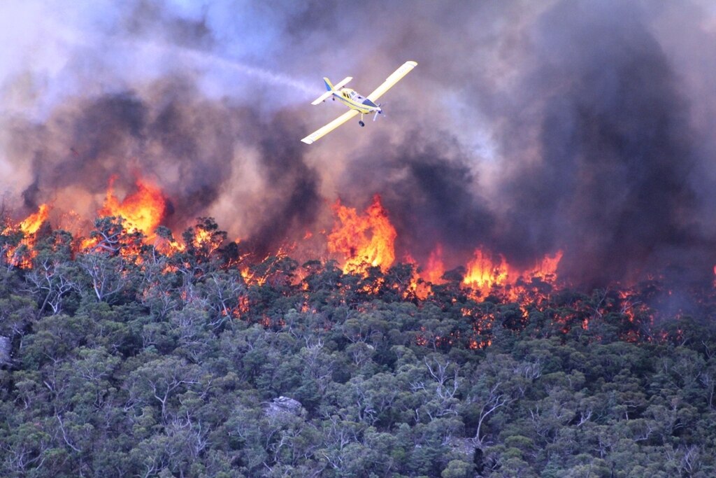 Grampians National Park And Local Communities Slowly Recovering After ...