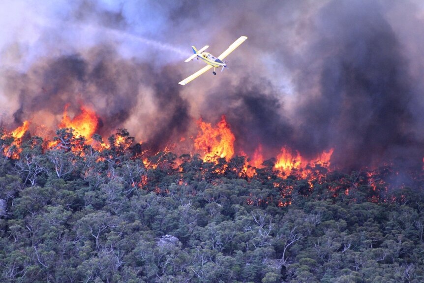 A plane flies over fires burning in Victoria's Grampians region on January 17, 2014.