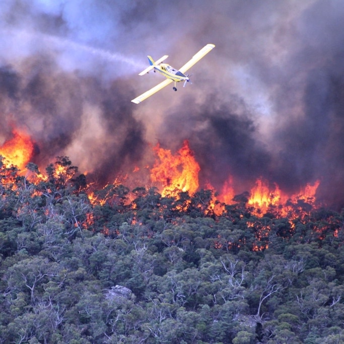A plane flies over fires burning in Victoria's Grampians