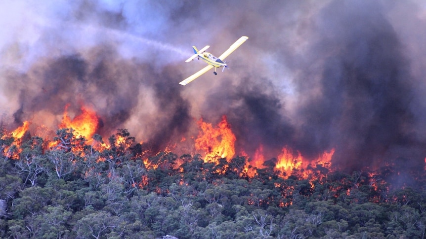 A plane flies over fires burning in Victoria's Grampians