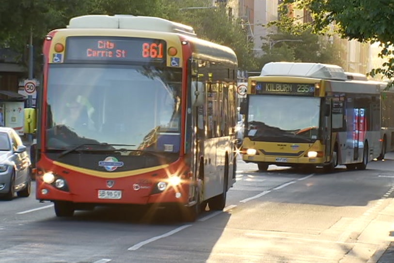 Buses on a city street