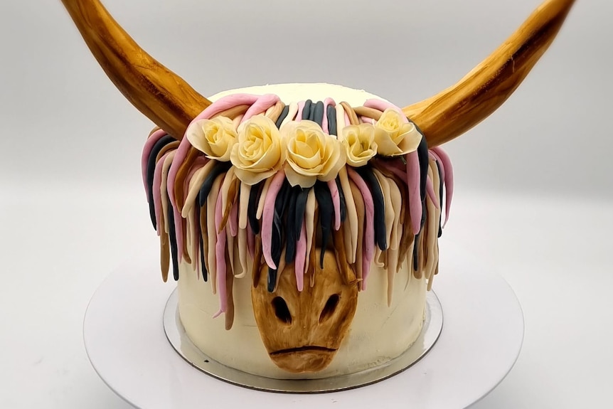 Highland cow themed cake sits on a white plate.