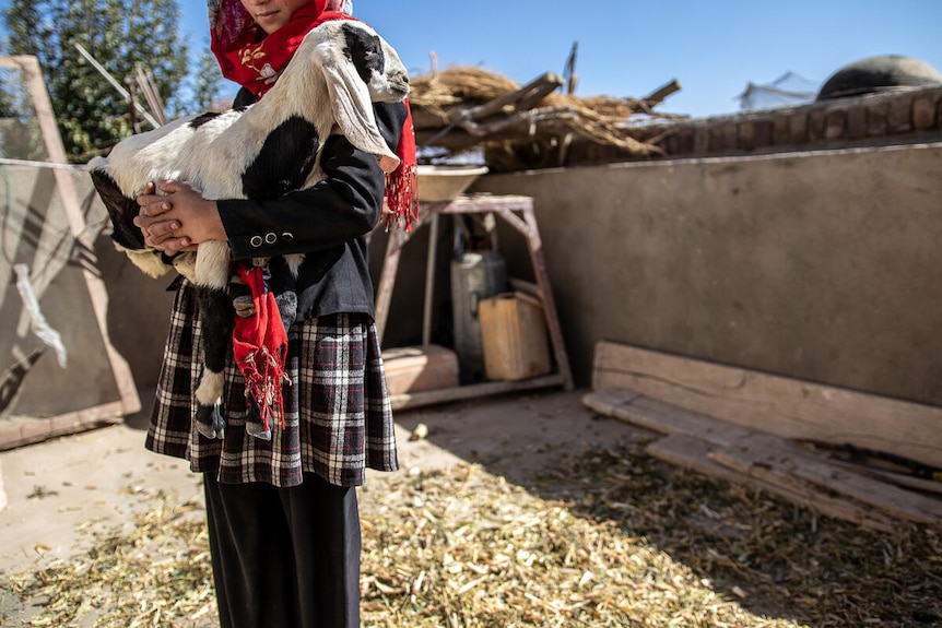 Mahnor holding a goat.