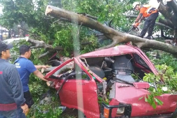 A car heavily damaged after a tree fell into it