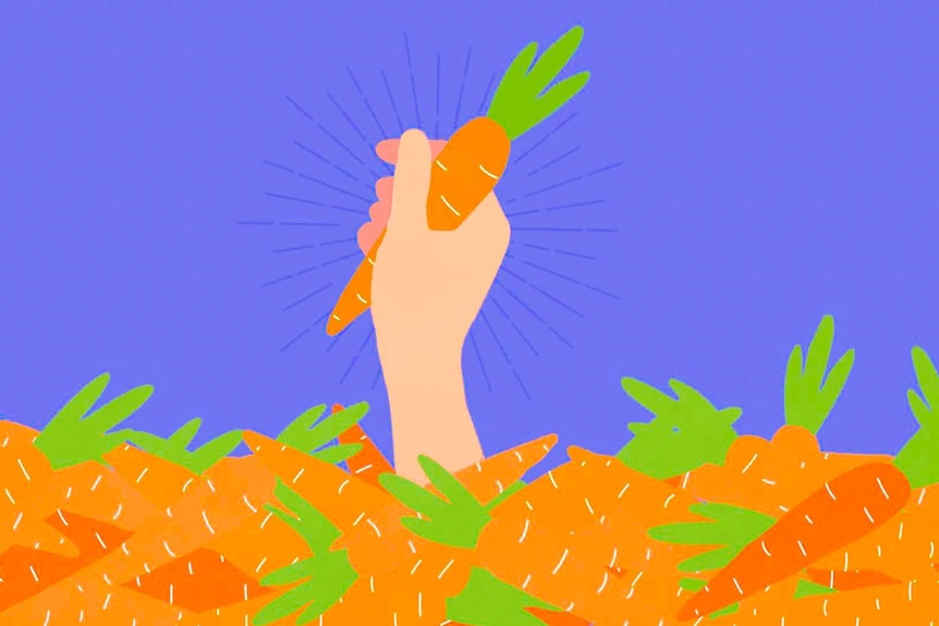 Drawing of a hand holding a carrot coming up through a pile of carrots to illustrate finding fresh food