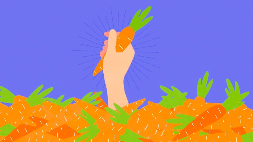 Drawing of a hand holding a carrot coming up through a pile of carrots to illustrate finding fresh food