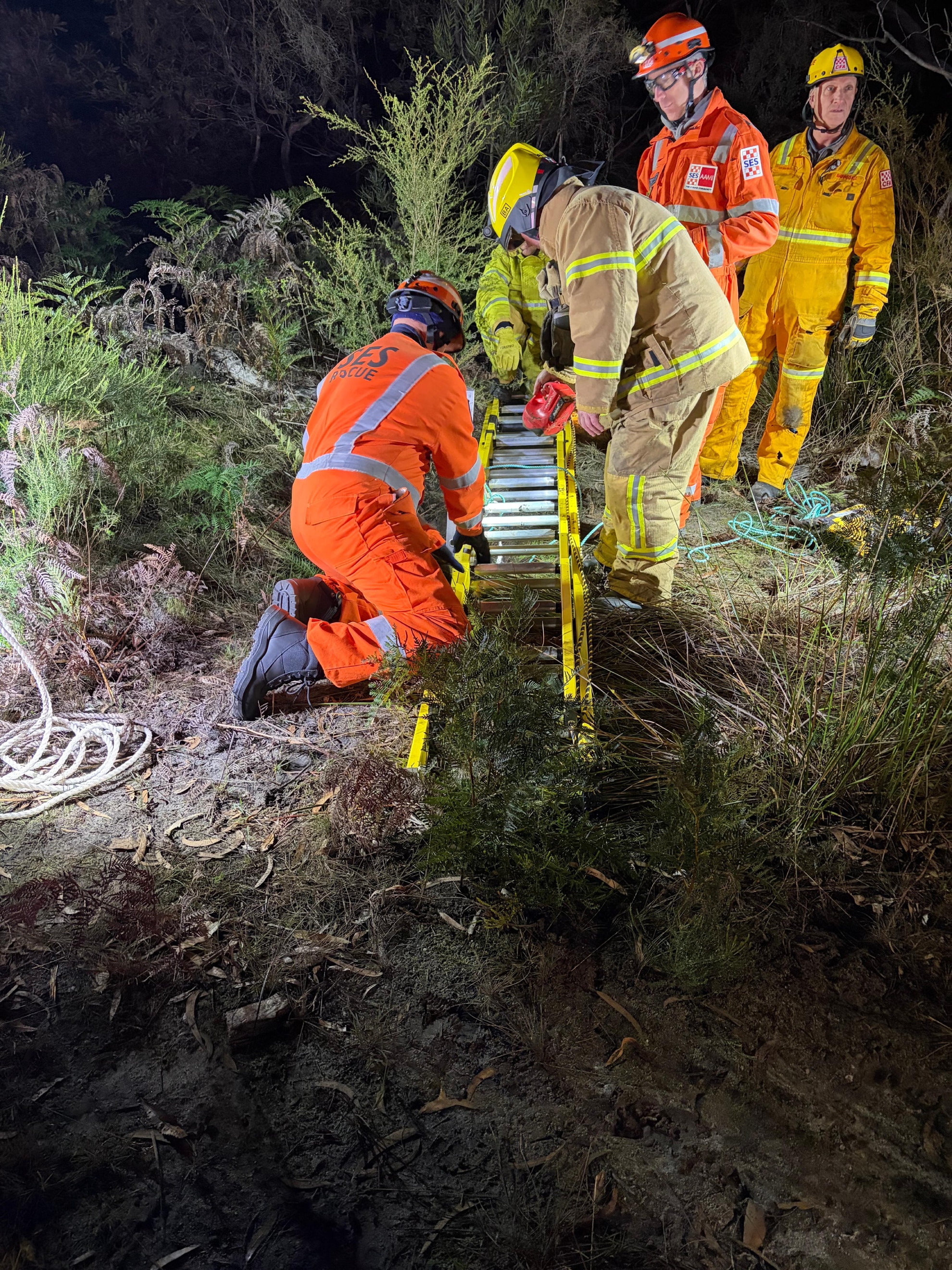 Rescuer needs rescuing after fall into deep hole while helping kangaroo