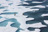 Two people are seen walking on slabs of ice in the Arctic Circle.