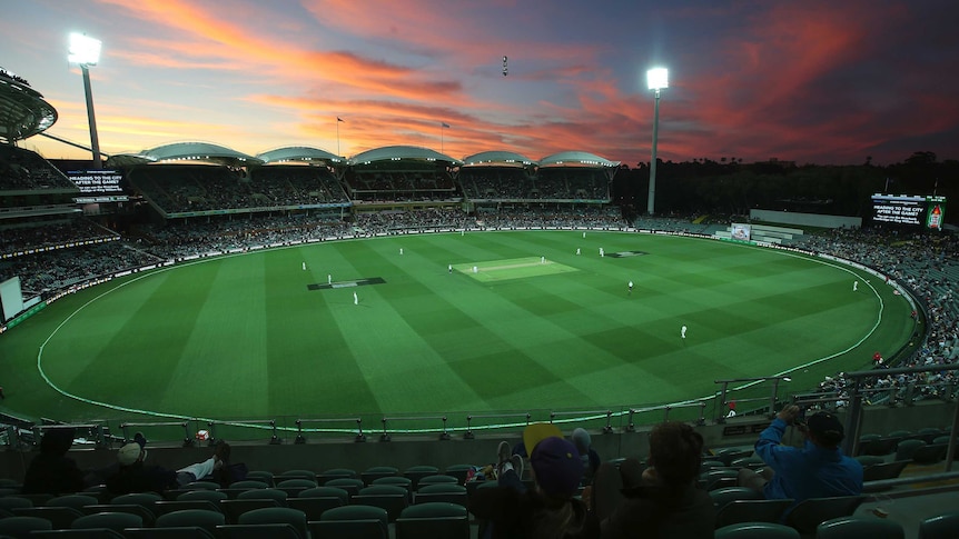 Photo of the lights at Adelaide Oval day-night Test