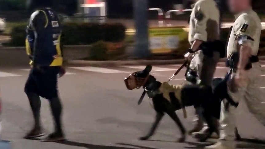 Two men in tan uniforms holding a lead with a large guard dog, walk behind an Aboriginal man at night. Their faces are blurred.