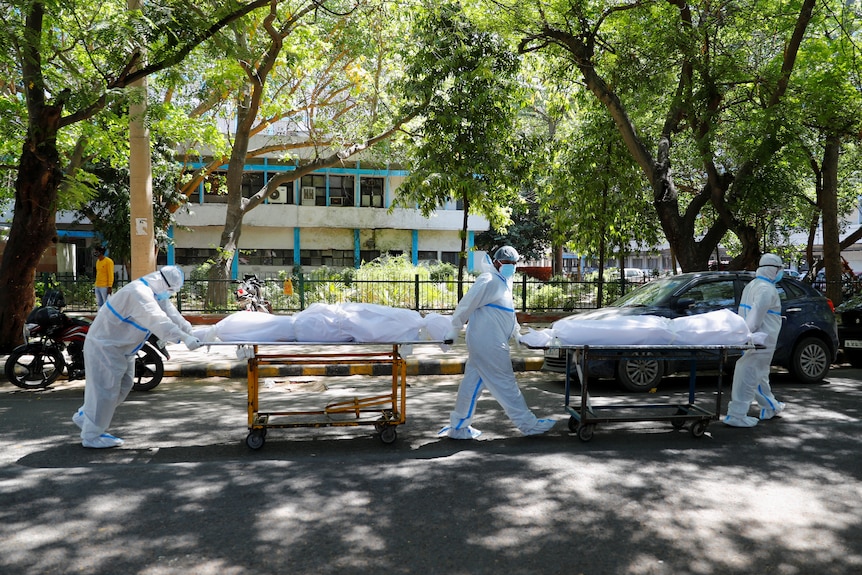 Health workers carry COVID-19 bodies outside a New Delhi hospital