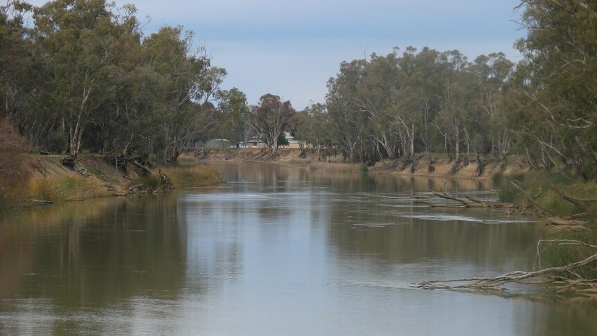 The Murray River at Barmah