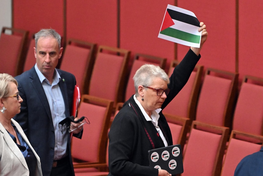 Greens Senator Janet Rice holds a Palestinian flag as she walks out of the senate. 