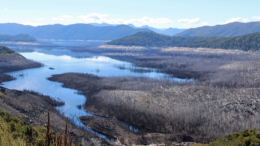 Lake Gordon at low levels exposing trees