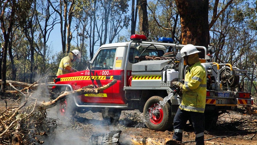 Firefighters say the blaze has burnt through 20 hectares