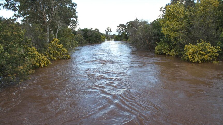 Macalister River at Maffra
