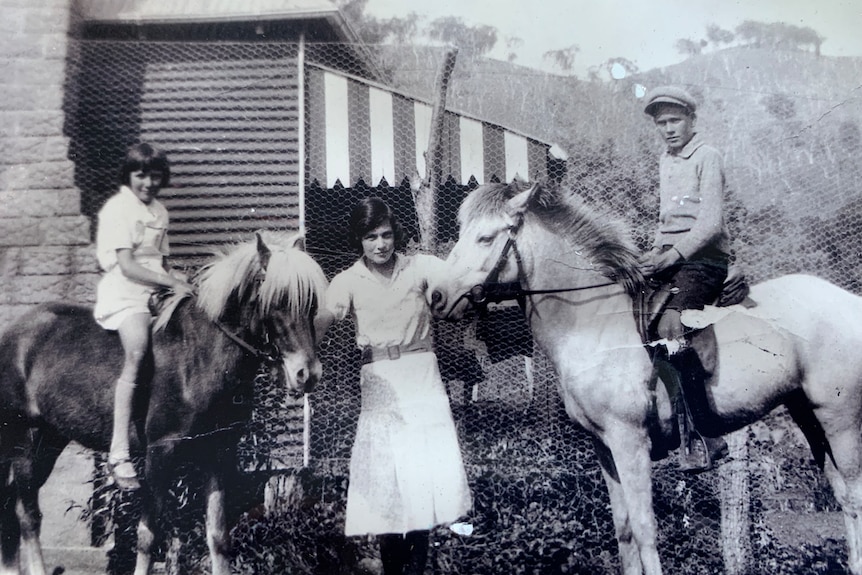 Black and white photo of indigenous teenager standing holding reigns of two horses with children in saddles 