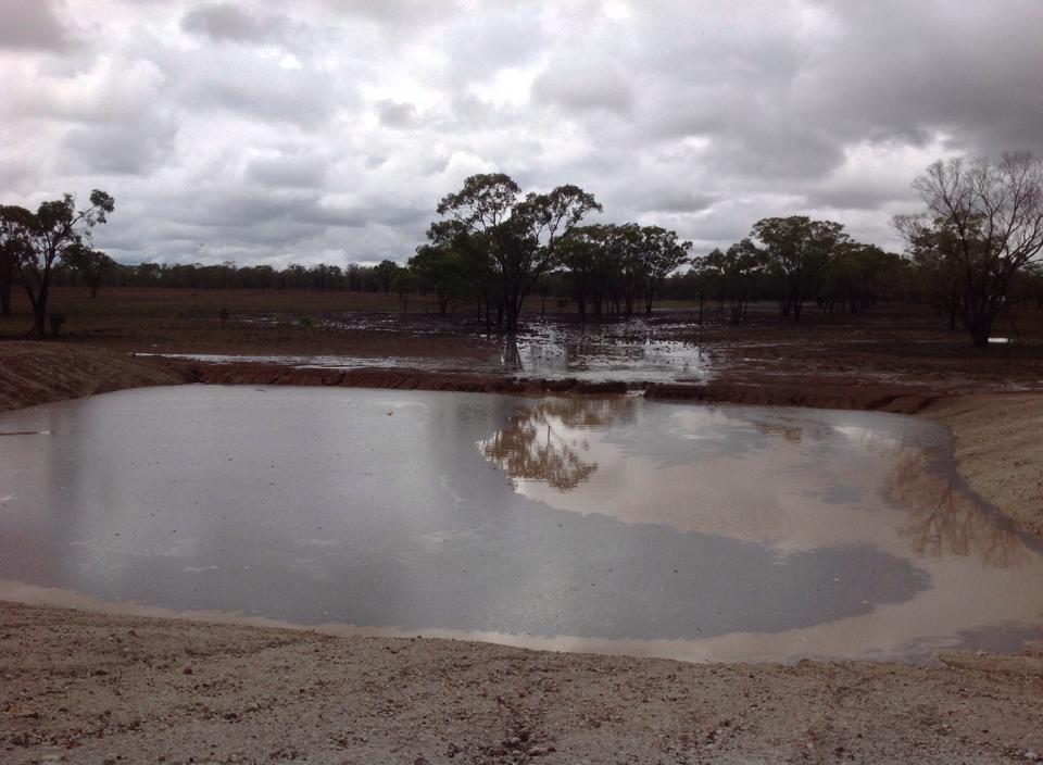 Rain brings welcome relief for Queensland farmers - ABC News