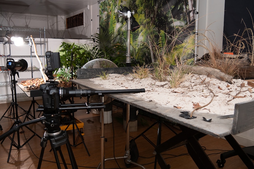 A studio with tables covered in sand and leaves and cameras and lighting equipment.