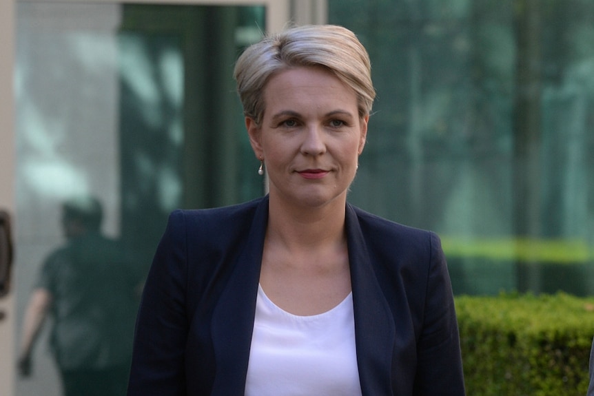 Deputy opposition leader Tanya Plibersek pictured on January 30, 2014