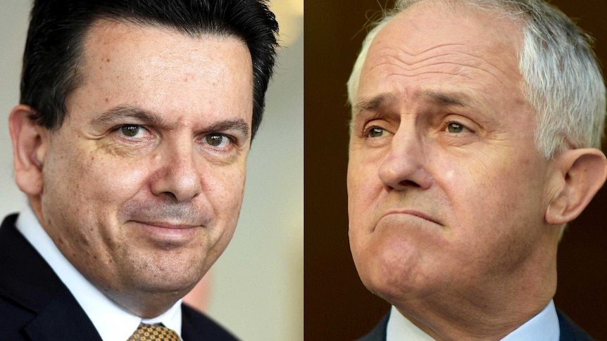 Nick Xenophon and Malcolm Turnbull
