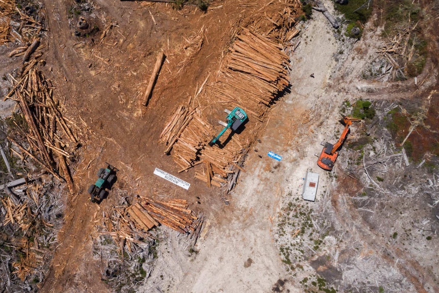 Aerial view of Sustainable Timber Tasmania (STT) logging coupe, 2018