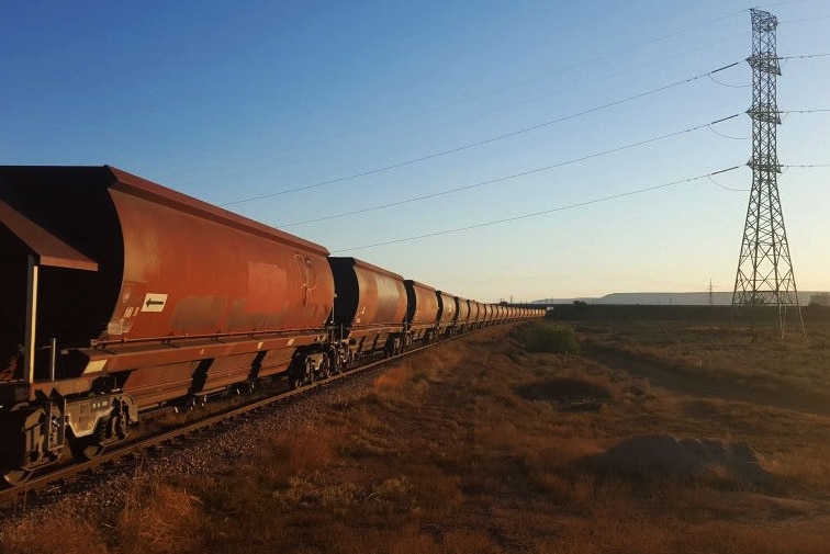 A coal train in orange sunset light.