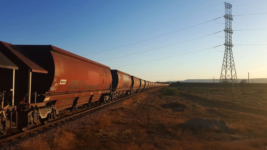 Coal train in the outback landscape