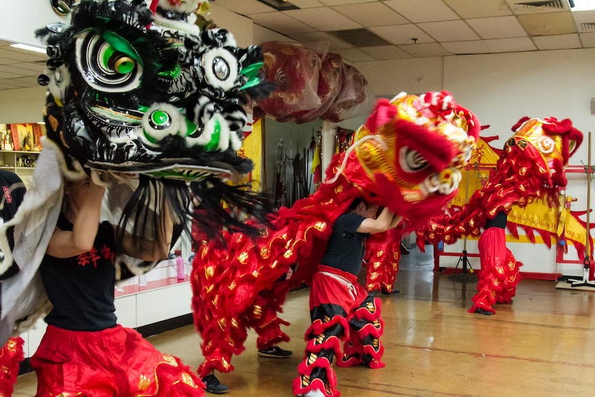 Kung-fu students moving Chinese lion dance costumes.