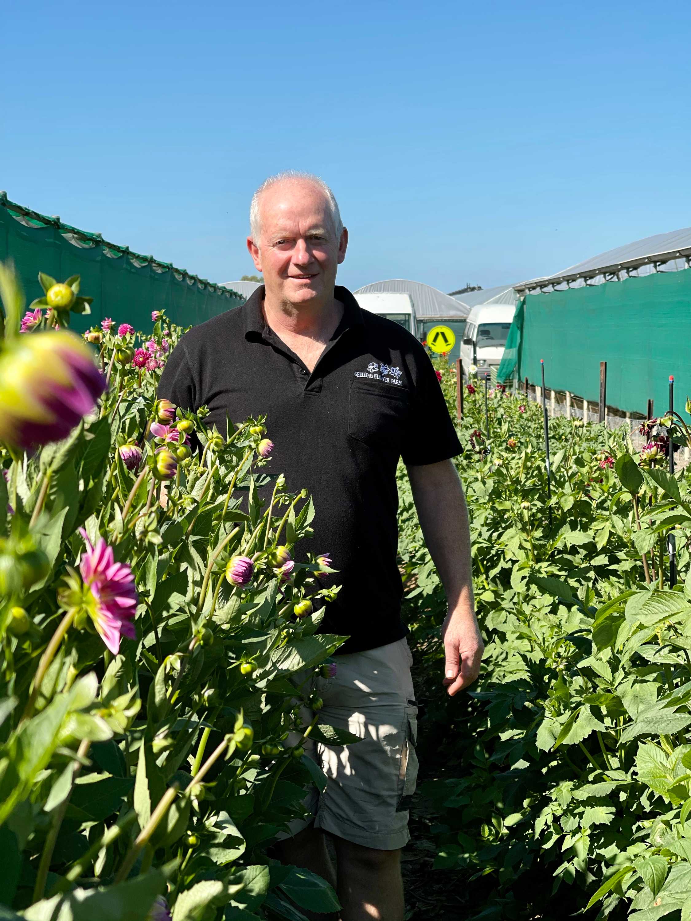 Valentine's Day heartbreak possible for people wanting red roses