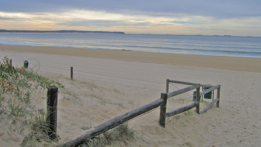 A beautiful beach in the Lake Macquarie region.