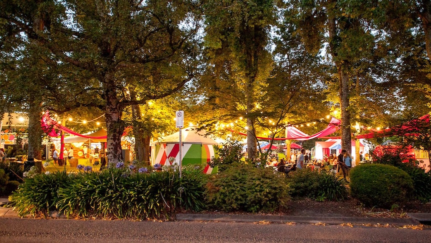 A collection of circus tents and lights in a park surrounded by trees.