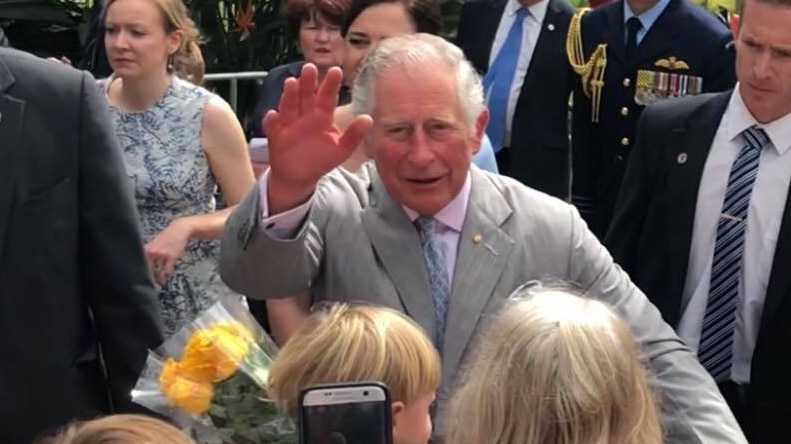 Prince Charles waves to the public