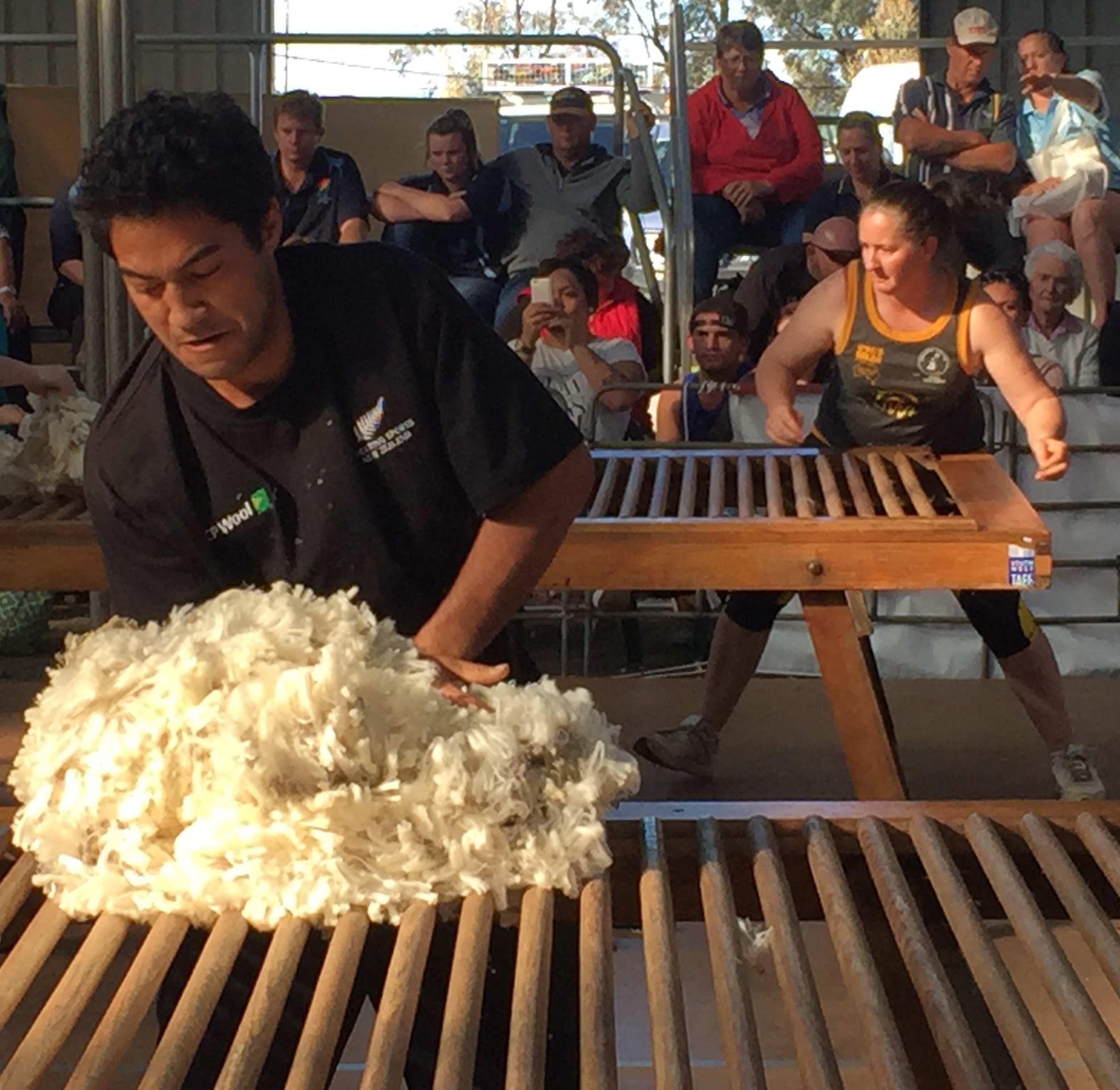 Dismal interest in Australia's national shearing and wool handling ...