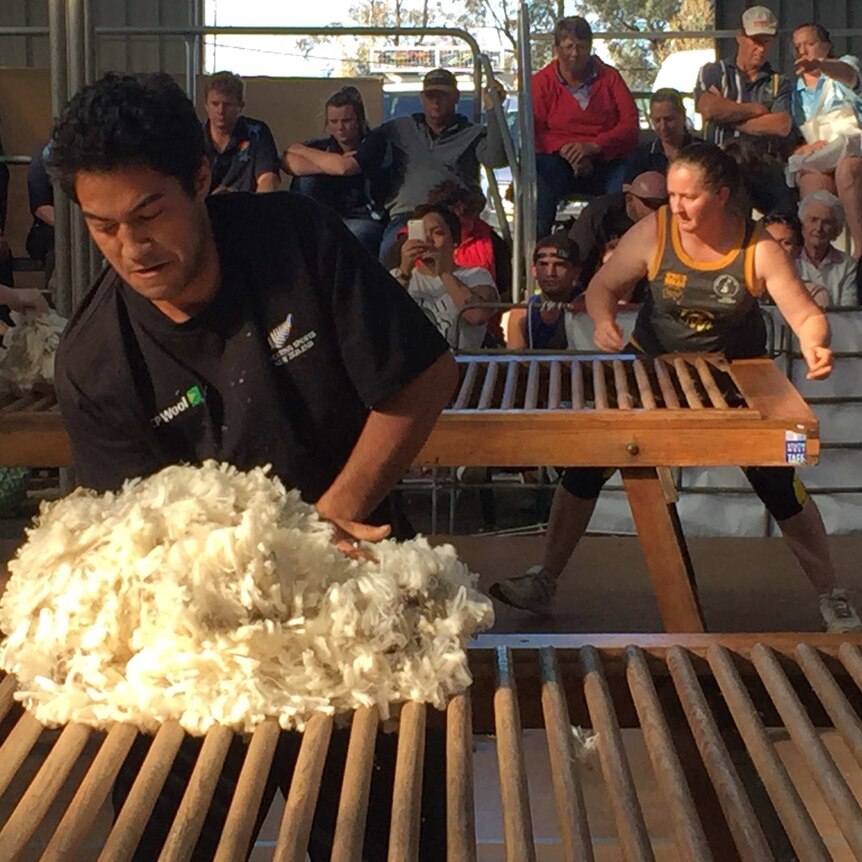 New Zealand world wool handling champion Joel Henare edges ahead of Australia's Sarah Moran in the Trans Tasman test.