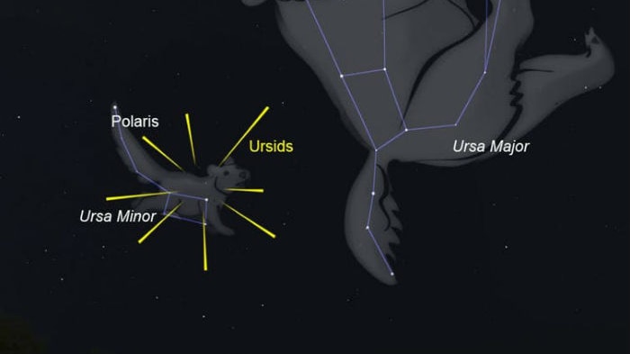 The position of the Ursids in comparison to Ursa Minor and Major