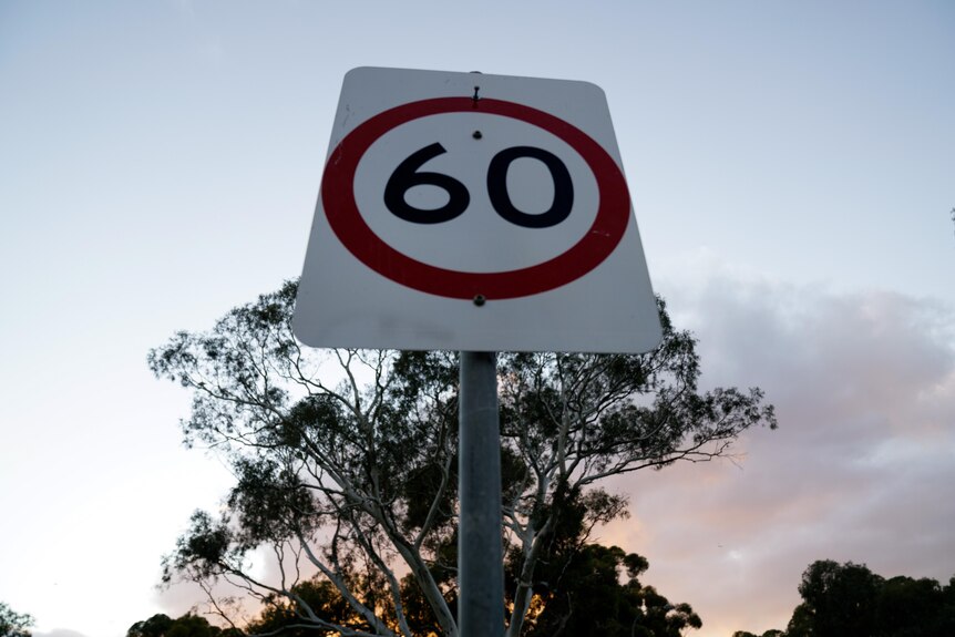 A road sign indicating a 60-kph speed limit.