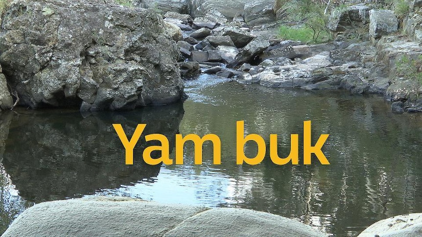Waterhole with text 'yam buk'
