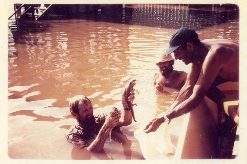 Harry Butler, in the flood water, hands two skinks to Henry Hall on a boat.