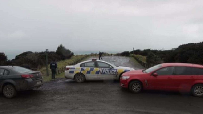 cars block a road in New Zealand