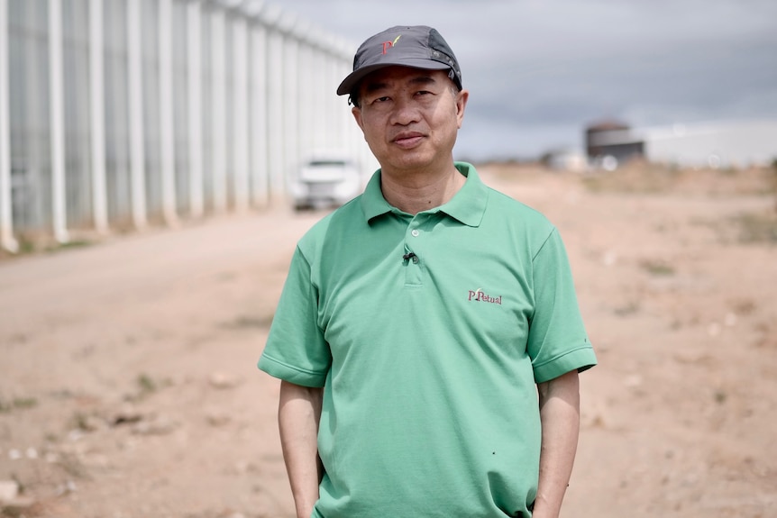 Henry Liu stands in front of a large glasshouse operation.