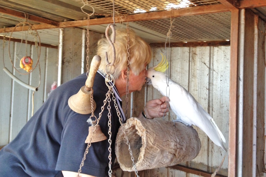 Glenda Wesson with her pet bird