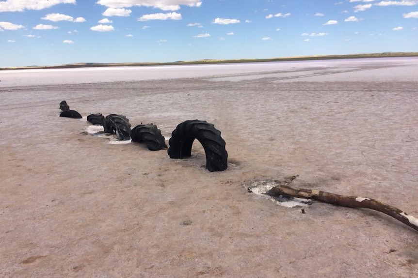 The vandalised Lochiel Ness Monster in Lake Bumbunga.