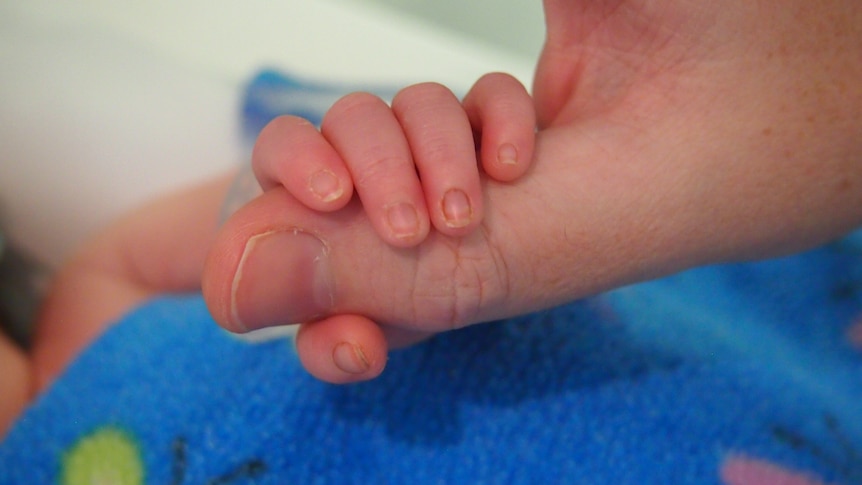 A infant's hand holds the thumb of an adult.