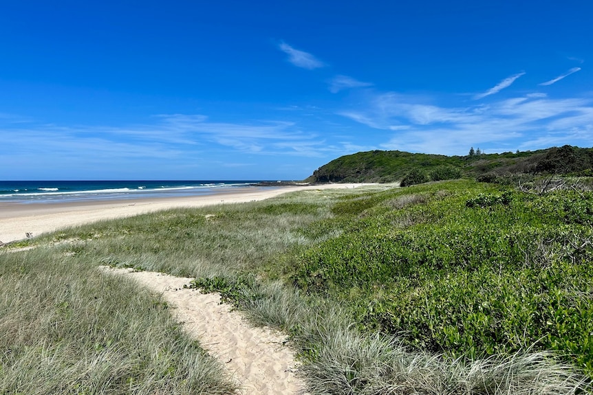 A sandy, empty beach on a bright sunny day, with a grassy hill dropping off into a rocky outcrop at the south end of the beach.