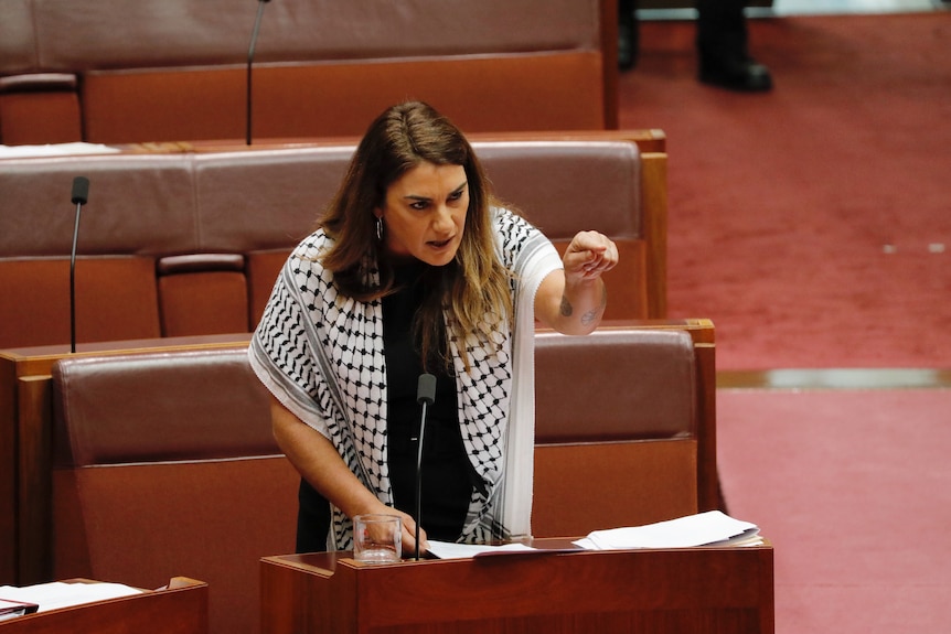 Senator Thorpe in Chamber, speaking, pointing, wearing keffiyeh.