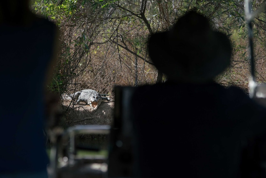 Croc handlers approach a crocodile on a riverbank by boat