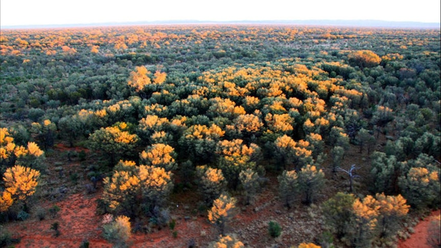 Yesterday the Territory Government said it would not support a mine at the site.